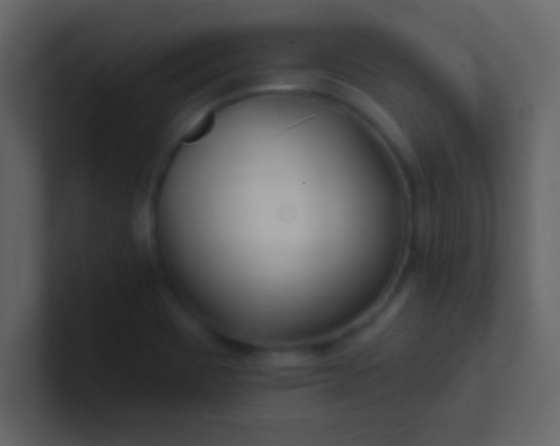 X0000100841465200807070923