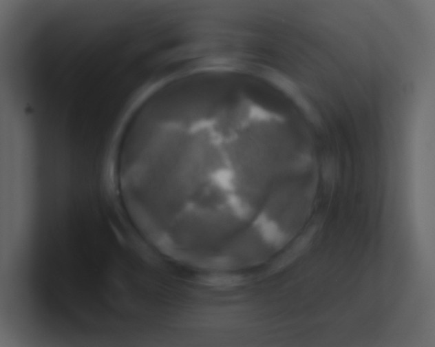 X0000100841466200807070923