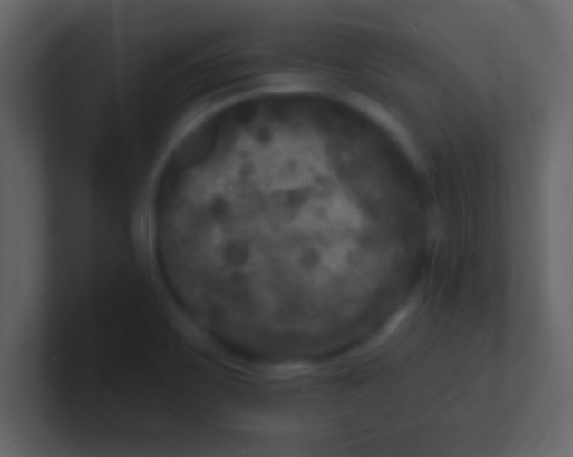 X0000100841467200807070923