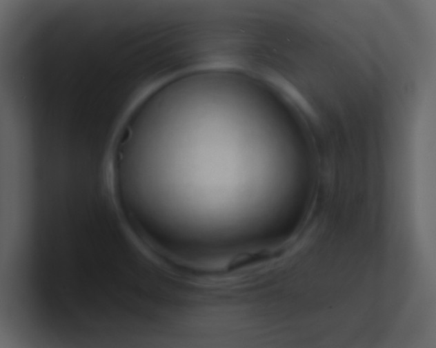 X0000100841468200807070923