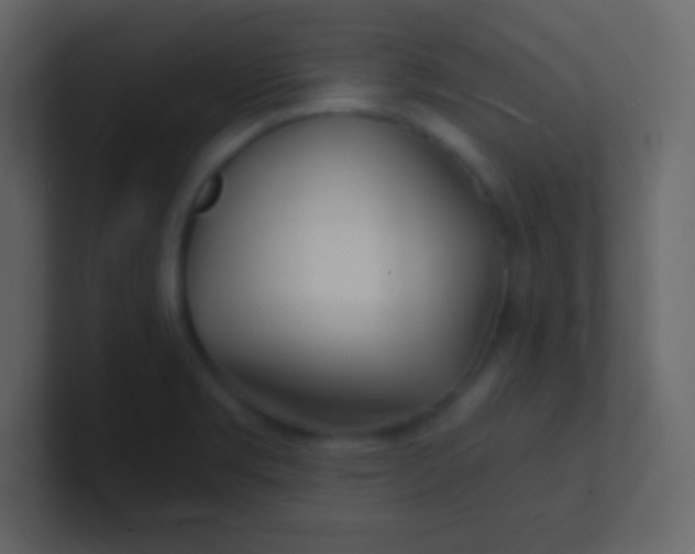 X0000100841469200807070923