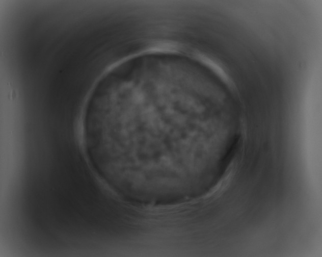 X0000100841471200807070923