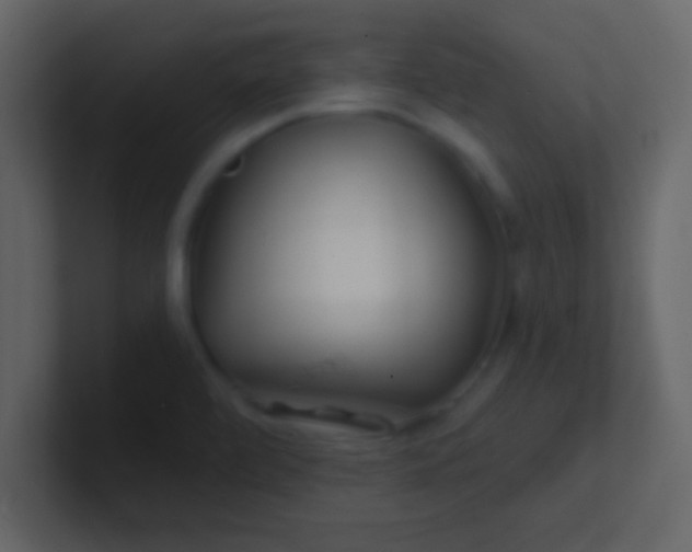 X0000100841472200807070923