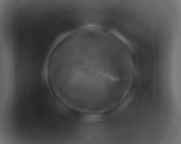 X0000100841474200807070923