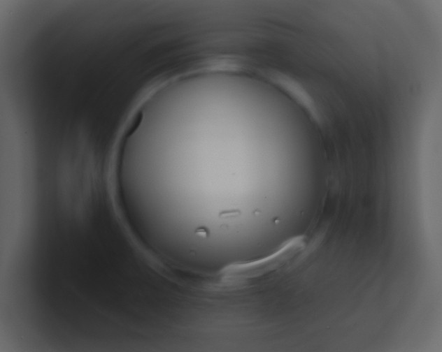 X0000100841475200807070923