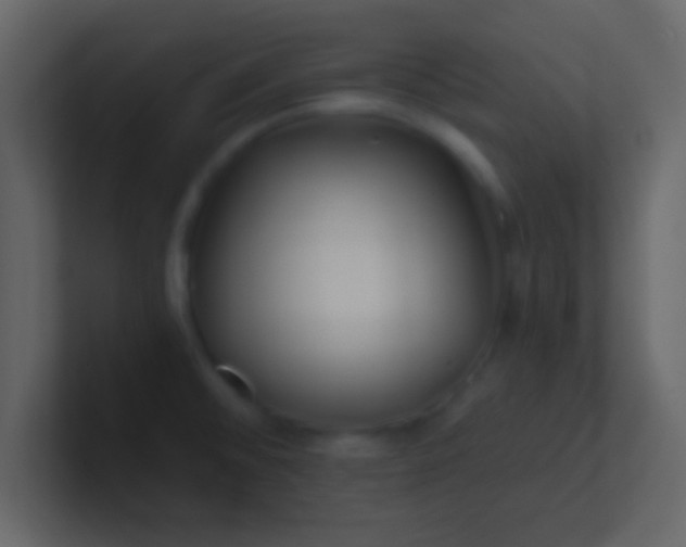 X0000100841476200807070923