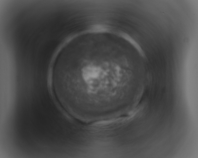 X0000100841477200807070923