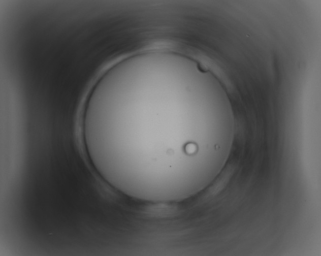 X0000100841478200807070923