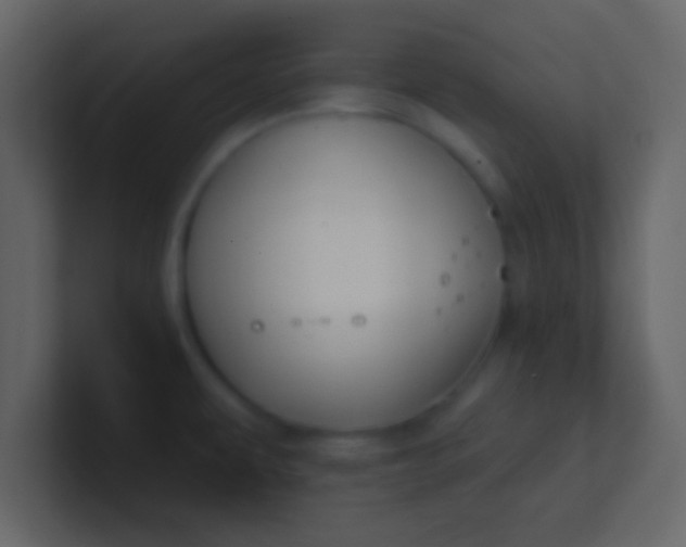 X0000100841479200807070923