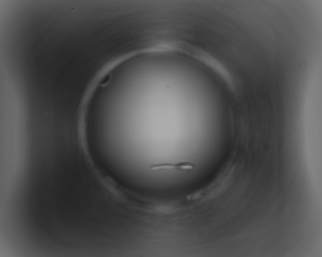 X0000100841480200807070923