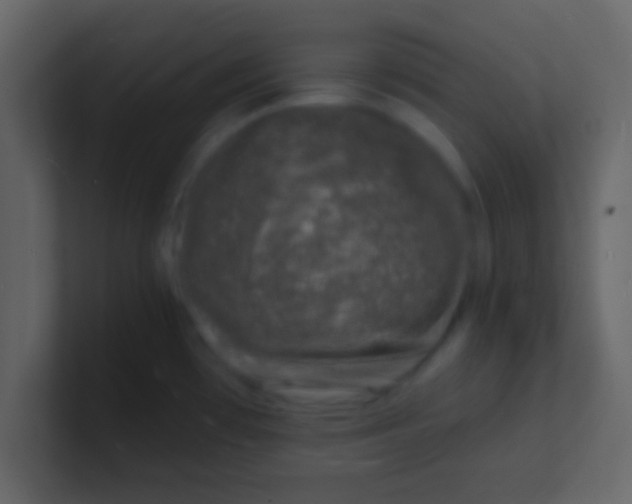 X0000100841481200807070923