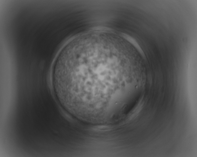 X0000100841482200807070923