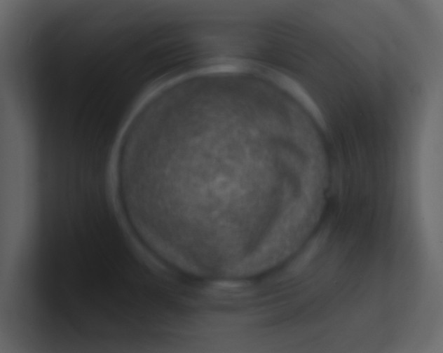 X0000100841483200807070923