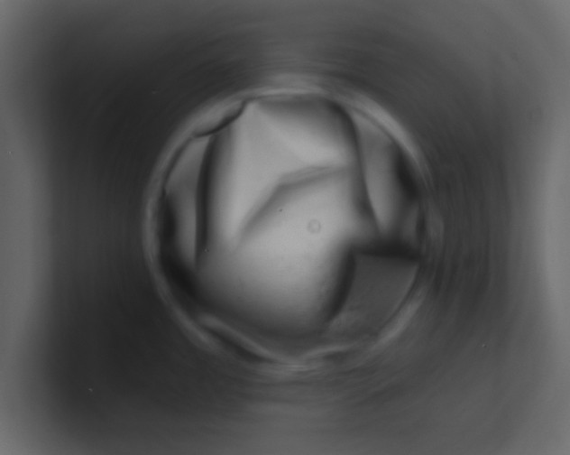 X0000100841485200807070923