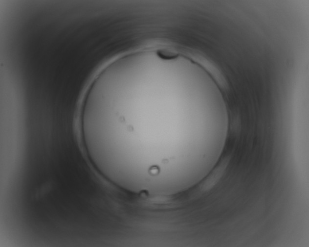 X0000100841486200807070922