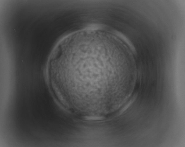 X0000100841487200807070922