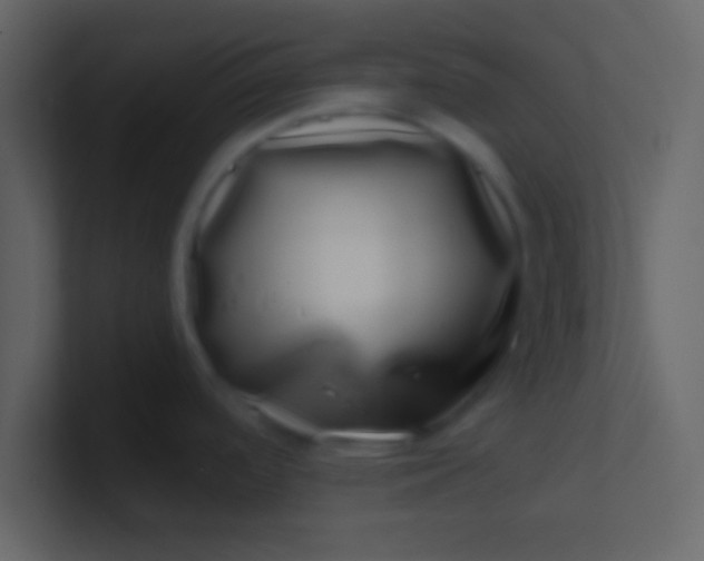 X0000100841488200807070922