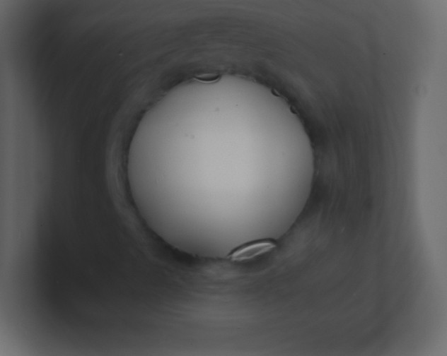 X0000100841489200807070922