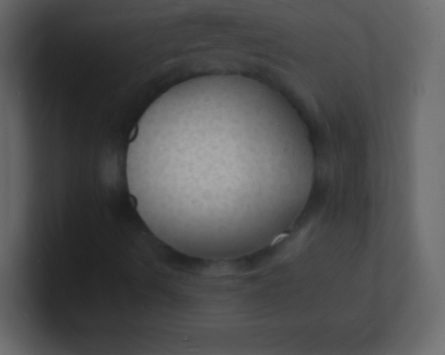 X0000100841490200807070922