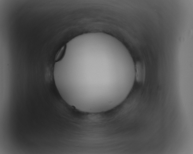 X0000100841491200807070922