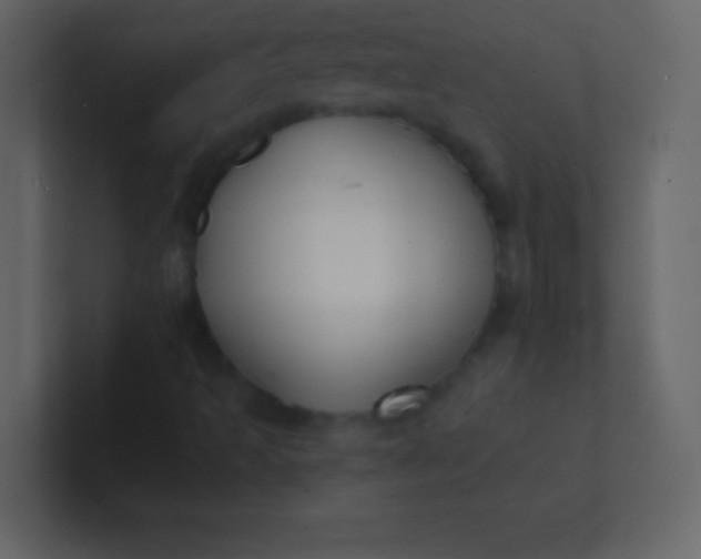 X0000100841493200807070922