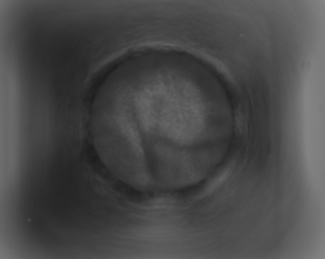 X0000100841494200807070922