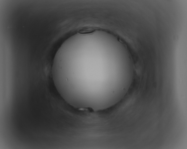 X0000100841495200807070922