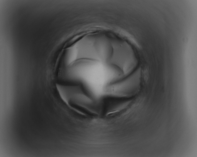 X0000100841496200807070922