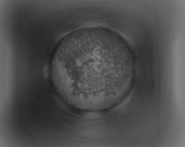 X0000100841497200807070922