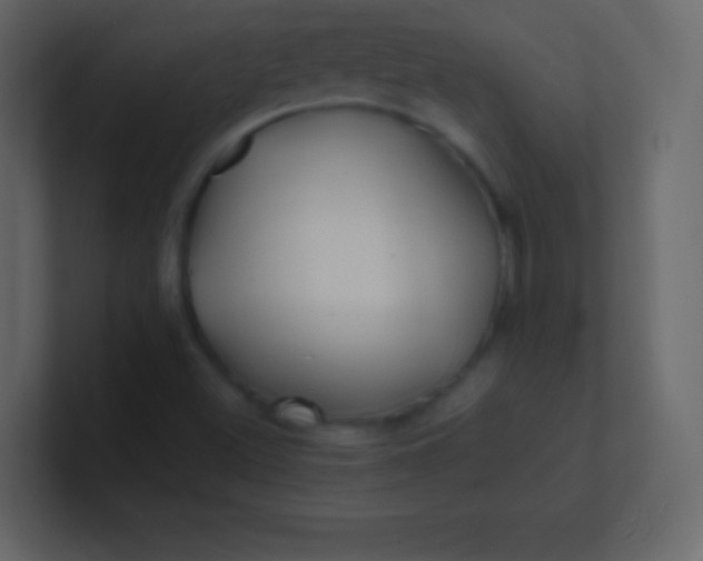 X0000100841500200807070922