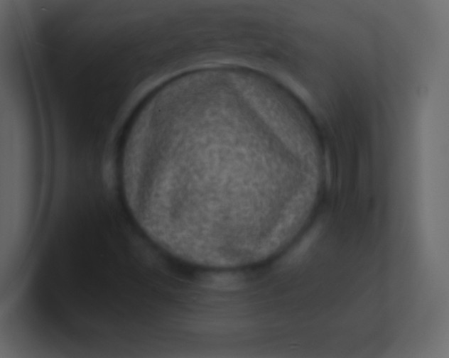 X0000100841501200807070922