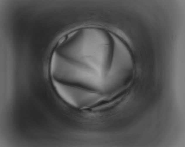 X0000100841504200807070922