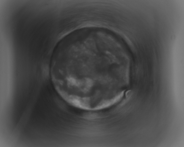 X0000100841505200807070922