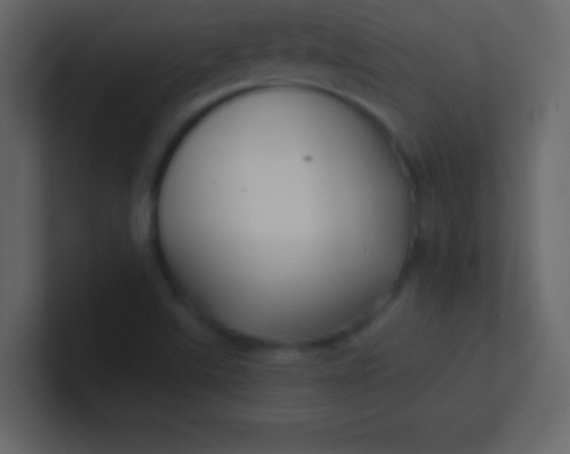 X0000100841507200807070922