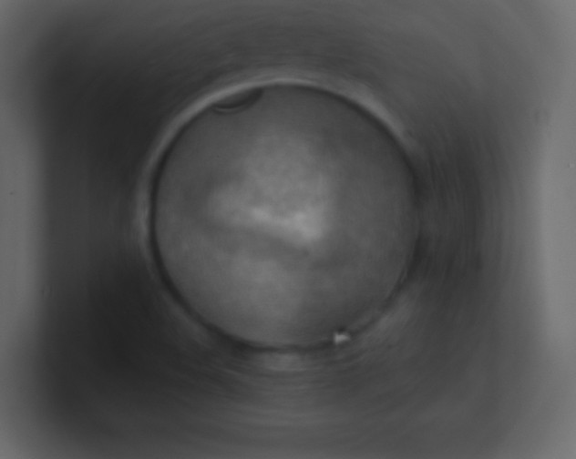 X0000100841508200807070922