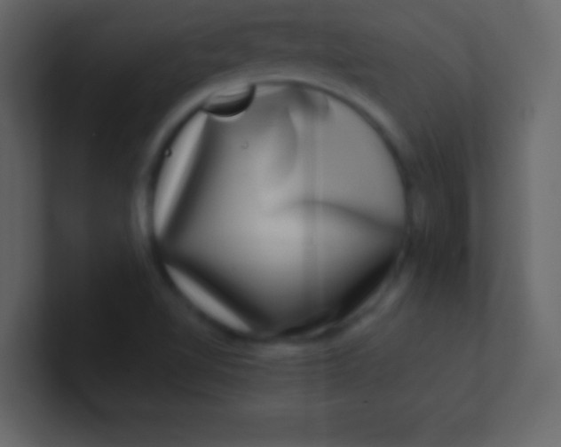 X0000100841510200807070922