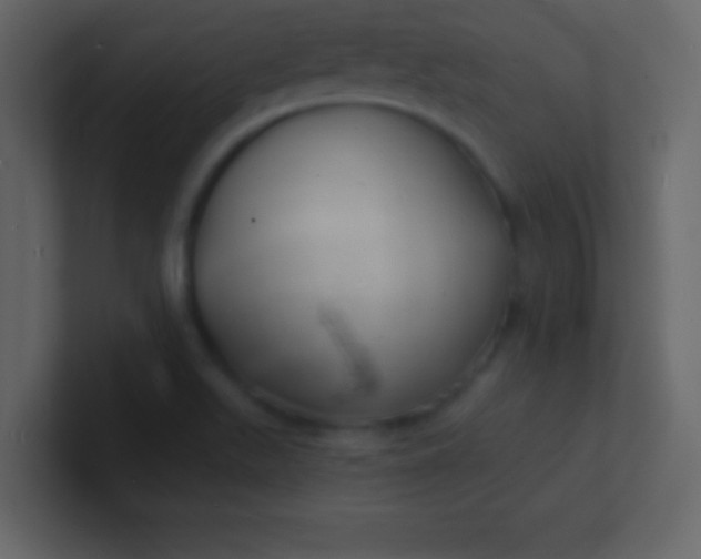 X0000100841511200807070922