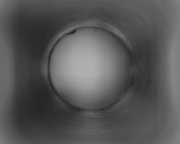 X0000100841512200807070922