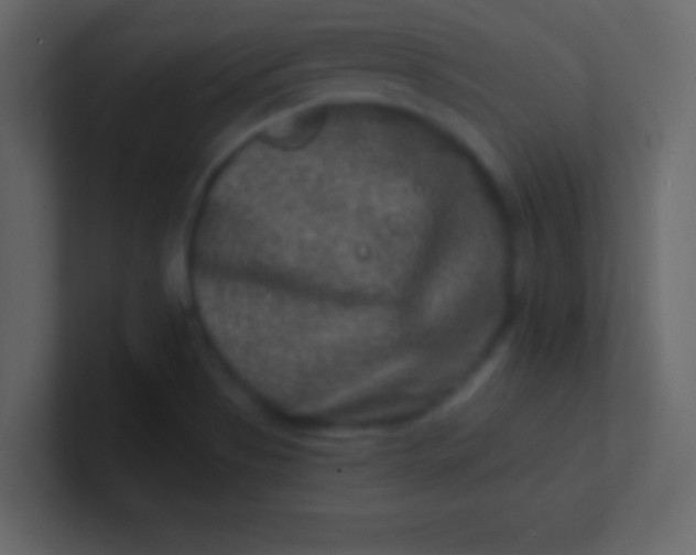 X0000100841513200807070922