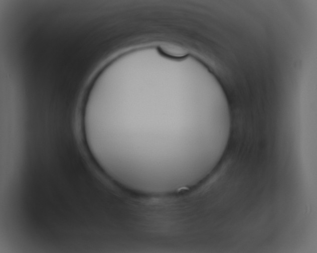 X0000100841518200807070922