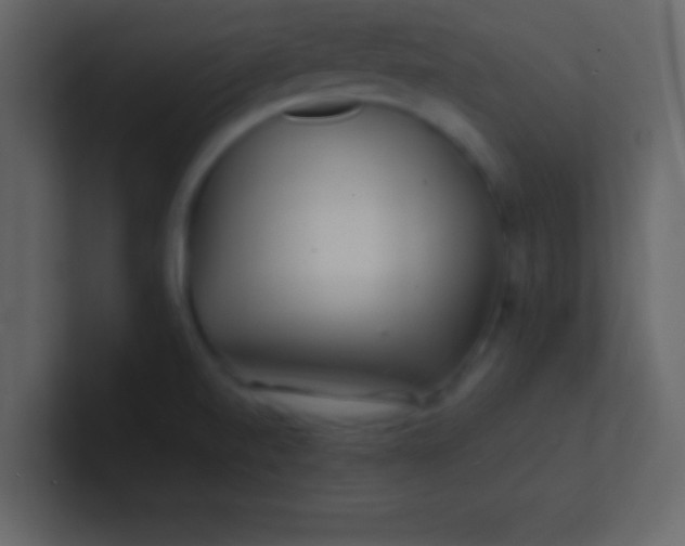 X0000100841520200807070922