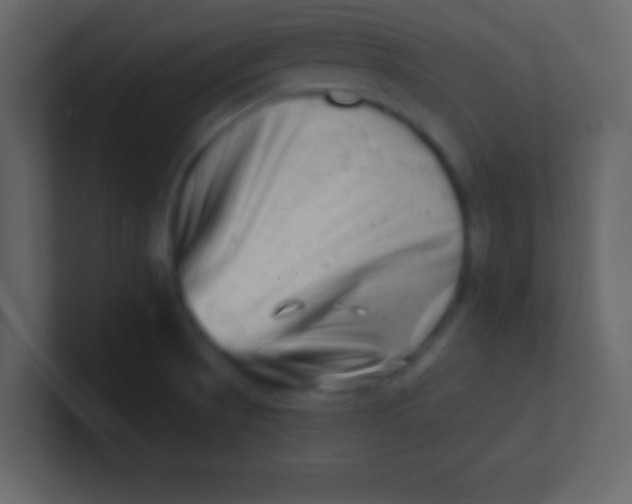 X0000100841521200807070922