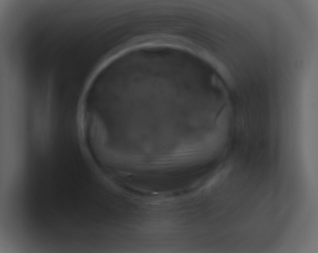 X0000100841522200807070922