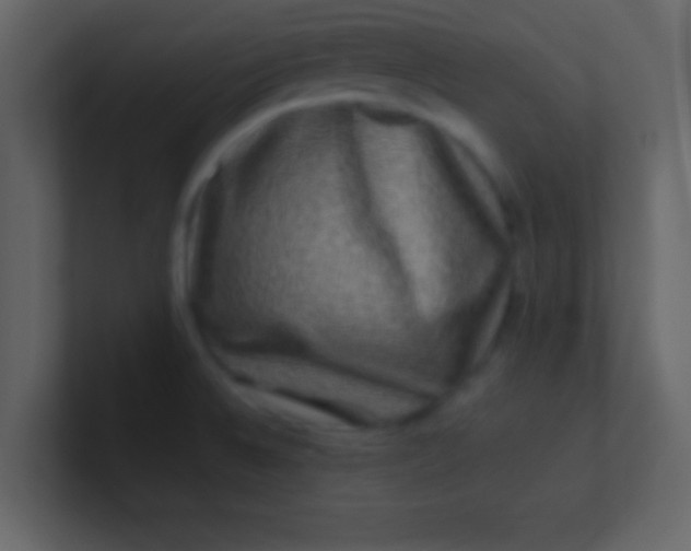 X0000100841524200807070922