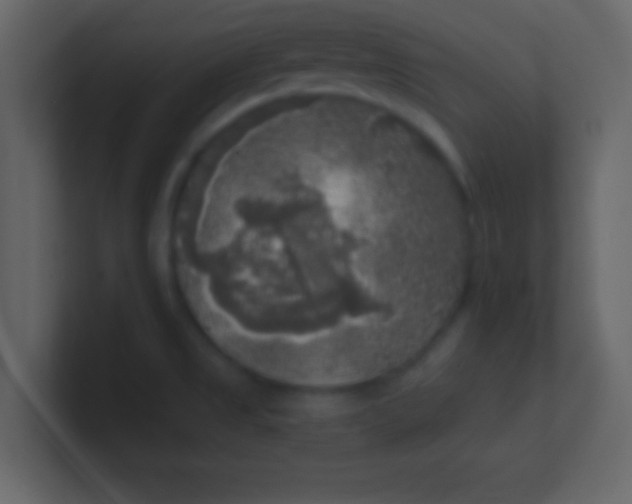 X0000100841525200807070922