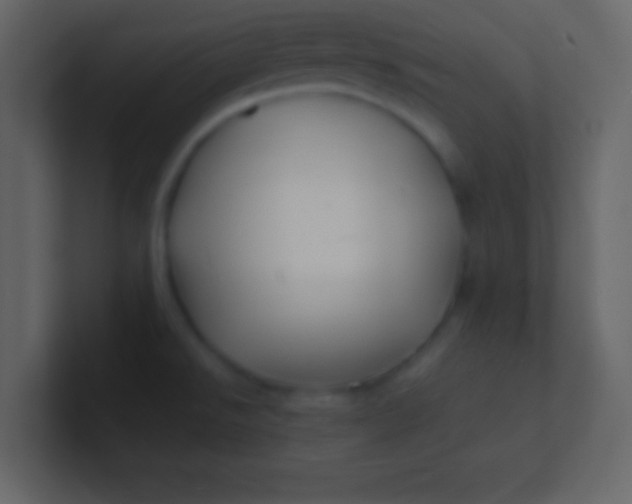 X0000100841526200807070922