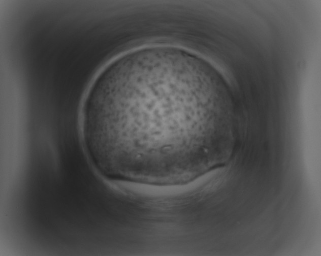 X0000100841527200807070922