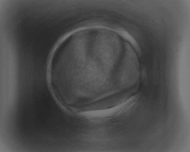 X0000100841528200807070922