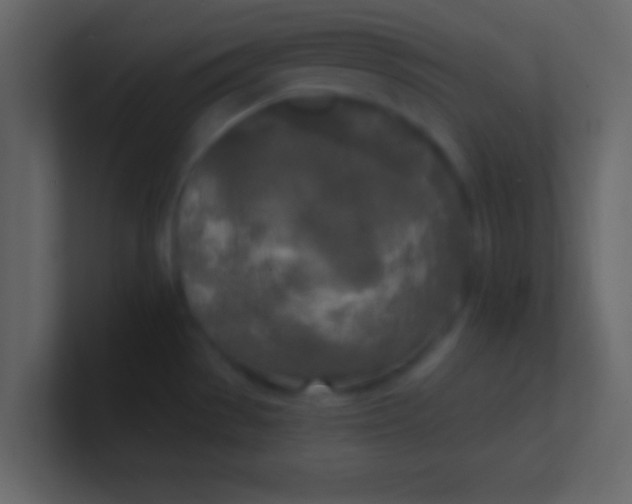 X0000100841529200807070922