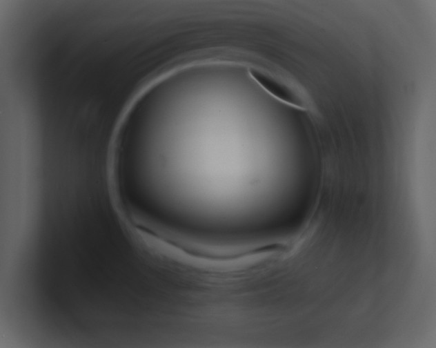 X0000100841530200807070922